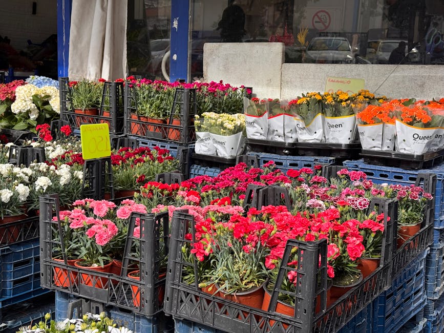 An outdoor display of colorful potted flowers arranged in black plastic crate stands, featuring pink, white, red, yellow, orange, and purple blooms. The flowers include carnations, daisies, and chrysa